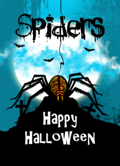 Spider Halloween...