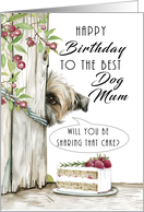 Dog Mum Birthday Cake Cute Dog Peeping Around a Fence card