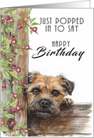 Border Terrier Dog Peeping Around a Fence to Say Happy Birthday card