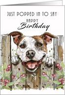 Staffordshire Dog Peeping Around a Fence to Say Happy Birthday card