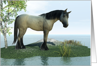 Birthday Card With Horse card