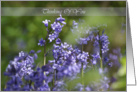 Thinking of you bluebells in the wood card