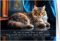 Cat Pet Sympathy with a Beautiful Cat card