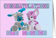Congratulations On Becoming A Big Sister Cards From Greeting