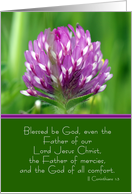 Sympathy Card With Wild Red Clover card
