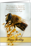 Birthday Card With Drone Fly (Eristalis tenax) card