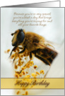 Birthday Card With Drone Fly (Eristalis tenax) card