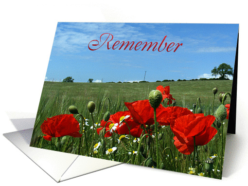Remembrance Day - Veterans Day - Poppy Field card (646311)