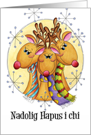 Nadolig Hapus I Chi - Welsh Happy Christmas - Reindeer card