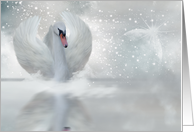 Christmas Card With Swan - Fantasy Swan Art card