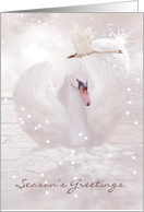 Christmas Card With Swan - Fantasy Swan Art card