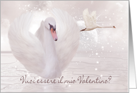 Italian Valentine’s Day Card - Swan’s In Pink card