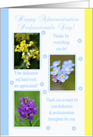 Administrative Professionals Day Card - Spring Flowers - Spring Colors card