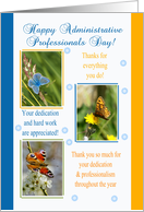 Administrative Professionals Day Card - Butterflies - Spring Colors card