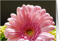 Pink Floral Any Occasion Card - Blank Flower Note Card - Pink card