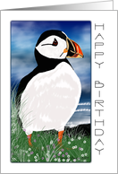 Painted Puffin Birthday Card - Birthday Card With Puffin card