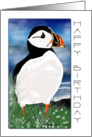 Painted Puffin Birthday Card - Birthday Card With Puffin card