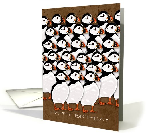 Painted Puffin Birthday Card - Birthday Card With Puffin card (831026)