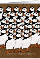 Painted Puffin Birthday Card - Birthday Card With Puffin card