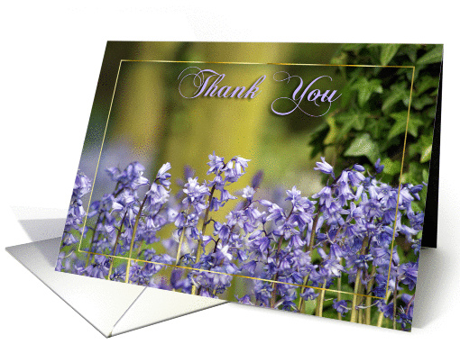 thank you card with bluebells card (842268)