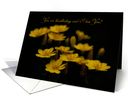 romantic greeting card with flowers in the evening light card (848833)
