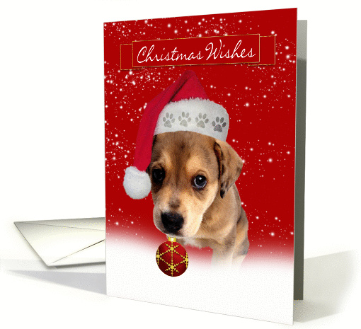 christmas wishes greeting card with cute puppy holding an... (859400)