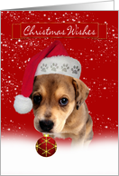christmas wishes greeting card with cute puppy holding an ornament card