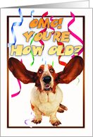 basset hound birthday card - you’re how old? card