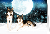 any occasion greeting card - fantasy art with snow and wolves card