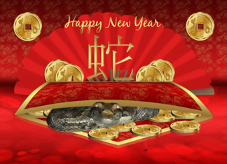 Chinese New Year -...