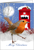 Traditional Robin And Mail Box Winter Card