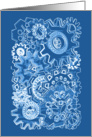 GEARS BLUEPRINT card