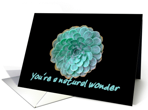 Spiral Rain - Natural Wonder card (302630)