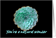 Spiral Rain - Natural Wonder card