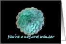 Spiral Rain - Natural Wonder card