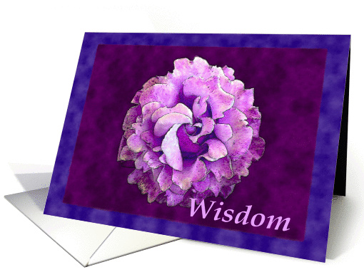 Wisdom card (308961)