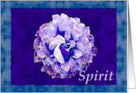 Spirit card