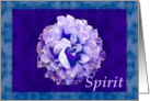 Spirit card