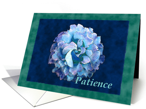Patience with watercolor rose card (310299)