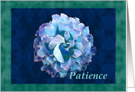 Patience with watercolor rose card