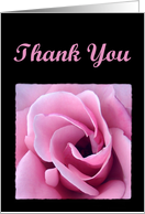 Thank You with Pink Rose card