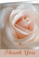 Thank You Pastel Pink Rose card