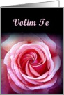 Volim Te - I Love you - Croatian card