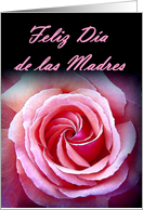 Feliz Dia de las Madres - Mother’s Day - Spanish card
