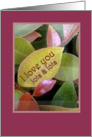 I Love You With Colorful Leaves card
