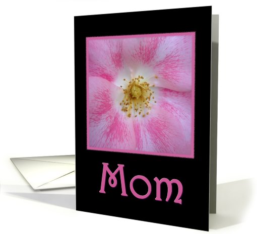 Happy Mother's Day With Pink Rose card (484122)