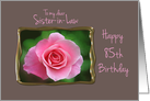 Sister-in-Law 85th Birthday Pink Rose in Gold Frame card