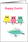 Easter Owl card with Three Cute Owls and Colorful Easter Eggs card