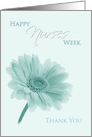 Happy Nurses Week Thank you Gerbera Daisy in Pale Aqua Tones card