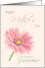 Grandmother Happy Mother’s Day Pink Gerbera Daisy Shell Pink card